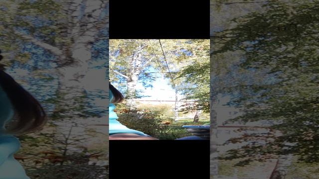 СКОРО СХОДКА смотреть онлайн