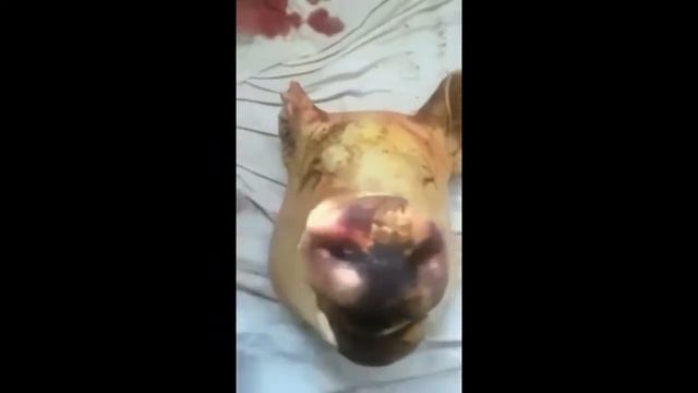 Не расстраивайся мем | мемот