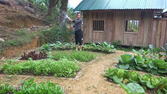 Full Video 2 Years Building Life, Living Off Grid - Build Farm Life, Couple Building Life смотреть онлайн