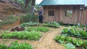 Full Video 2 Years Building Life, Living Off Grid - Build Farm Life, Couple Building Life