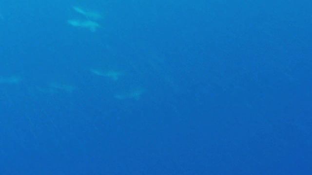 Carla Underwater - My Vacation In Portugal