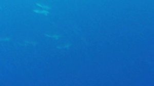 Carla Underwater - My vacation in Portugal