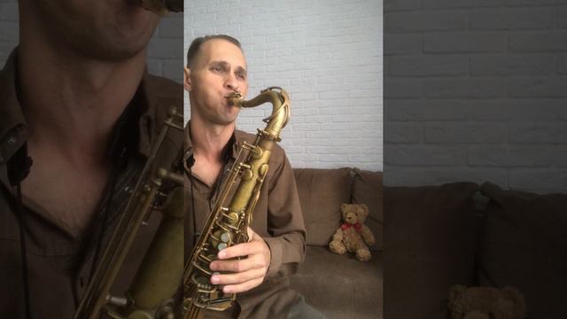 Steve Cole - NY LA (Sax Cover)
