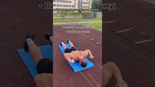 Жим лежа с эспандером | Упражнение для укрепления спины #fitness #спорт #boxing #sports #фитнесс смотреть онлайн