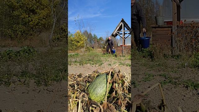 Забытый кабачок смотреть онлайн