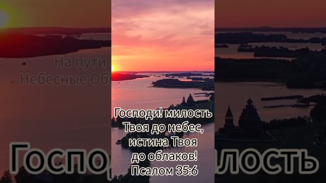 Доброй ночи 🌙 смотреть онлайн