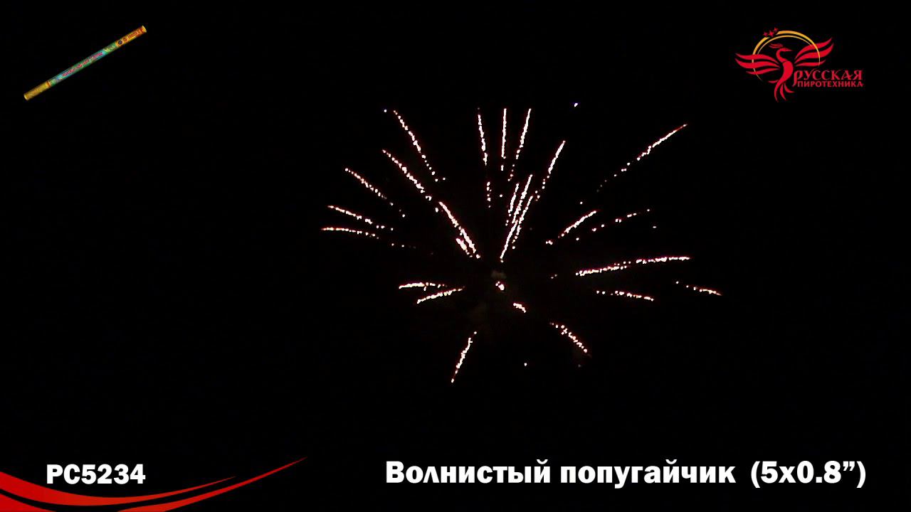 РС5234 Римская свеча "Волнистый попугайчик" (0,8"х5) 1/72/2 смотреть онлайн