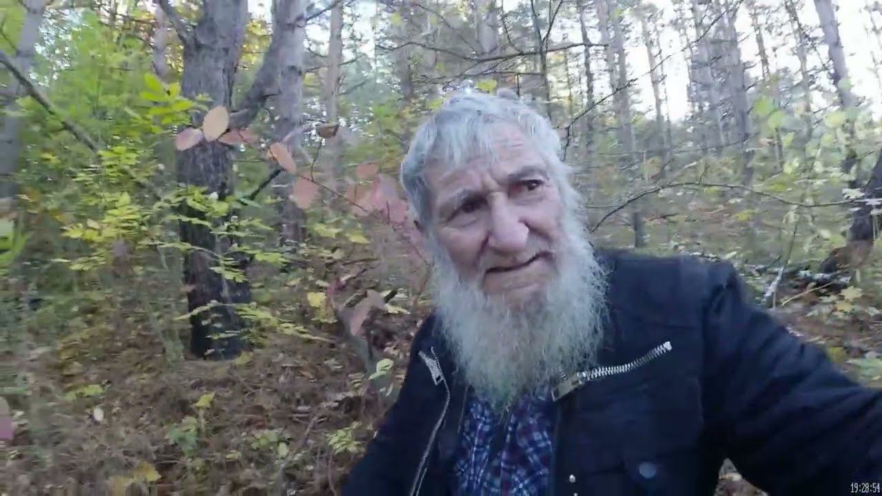 По осеннему урочищу смотреть онлайн