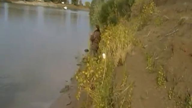 Ахтуба.рыбалка смотреть онлайн