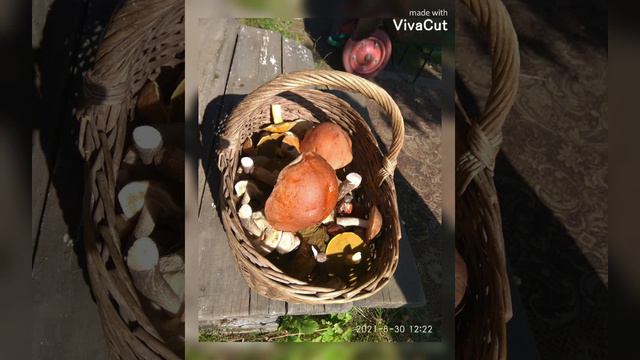 клип про лето и жизнь на даче смотреть онлайн