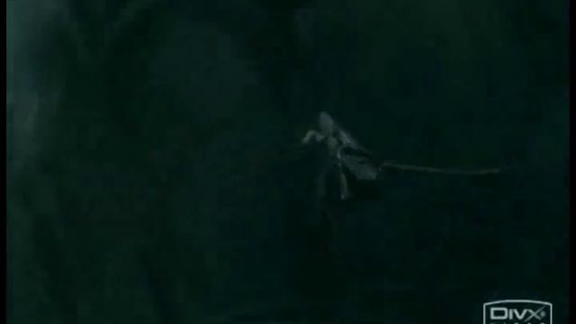 Famous Last Words - My Chemical Romance - Sephiroth+Kadaj смотреть онлайн