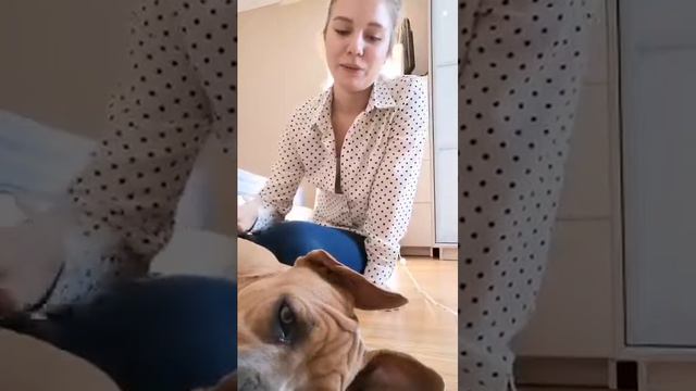 Отзыв Мария смотреть онлайн