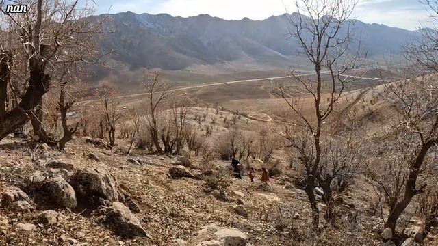 From Fields to Cave: The Adventure of Grandma's Journey to Fetch Drinking Water смотреть онлайн