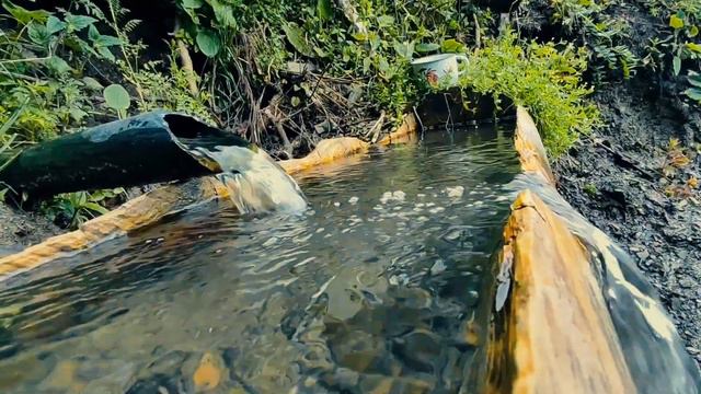 10.07.2023г с. Хутрах Цунтинский район РД. смотреть онлайн