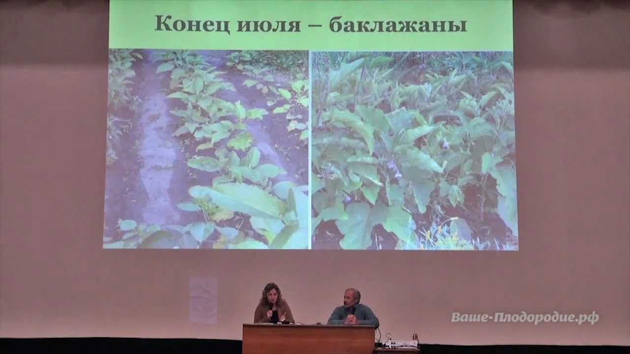 Как получать удовольствие от труда в саду-огороде смотреть онлайн