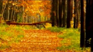 EDDIE CALVERT - AUTUMN LEAVES