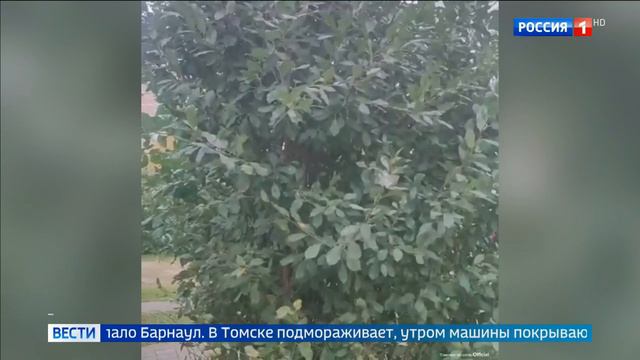 Погода в регионах смотреть онлайн