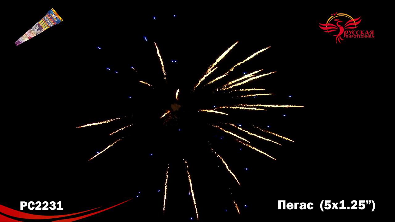 РС2231 Ракета "Пегас" (1,25") 1/20/5 смотреть онлайн