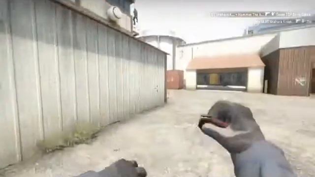 CS:GO - Epic FAILS 2015 смотреть онлайн