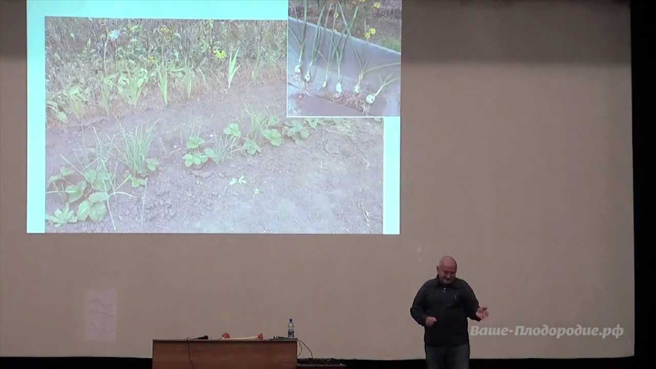 Семинар Б.А.Бублика «Самодостаточный огород» (2012) смотреть онлайн