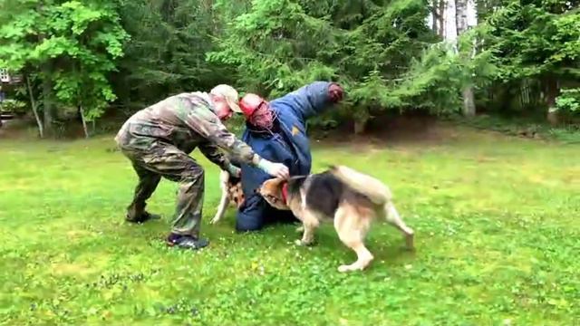 Барвиттера Даррун и Артемтда.Тренинг.Защита смотреть онлайн