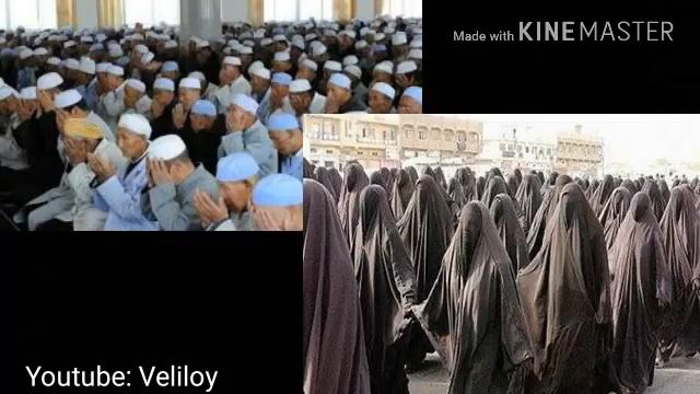 SUMMER CEM TAMAM TAMAM THE HARAM HARAM