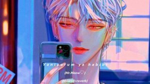 yaniyorum ya habibi (slowed+reverb).