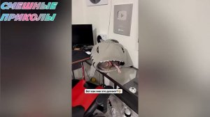 Я РЖАЛ ДО СЛЕЗ 26 Минут ОТБОРНЫХ Русских приколов ИЮЛЬ 2024 Смешные видео