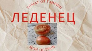 Томат от гавриш красный леденец.
