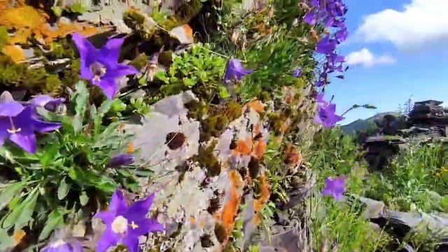 SnapSave.io-Красота гор Дагестана Цунтинский район село Акди ❤️ смотреть онлайн