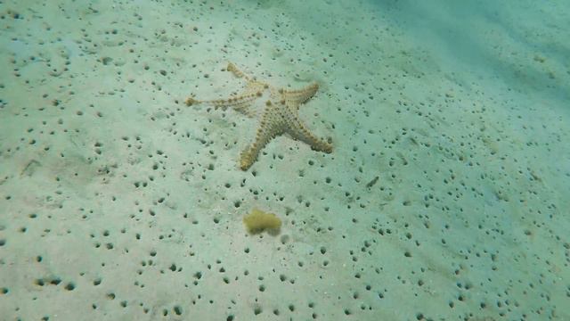 WELCOME TO AUSTRALIA! Ship Wreck Diving on Moreton Island - Vlog 174 смотреть онлайн