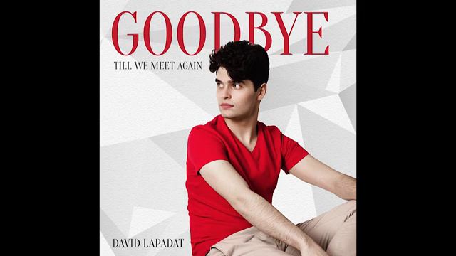 David Lapadat - Goodbye Till We Meet Again (no.11) смотреть онлайн
