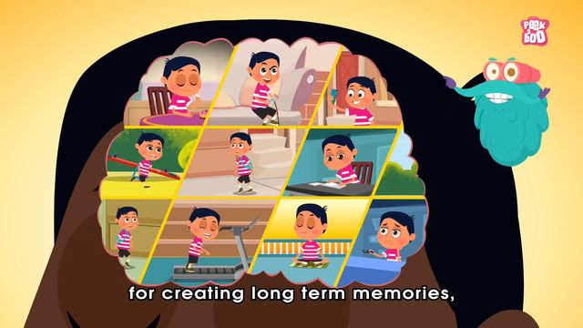 Why Do We Sleep? The Dr. Binocs Show | Best Learning Videos For Kids | Peekaboo Kidz