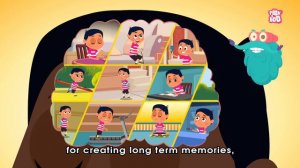 Why Do We Sleep? The Dr. Binocs Show | Best Learning Videos For Kids | Peekaboo Kidz