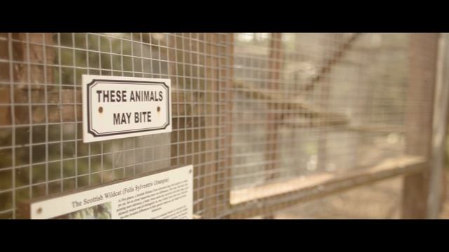 Victoria's Flight - Last Days of Summer смотреть онлайн