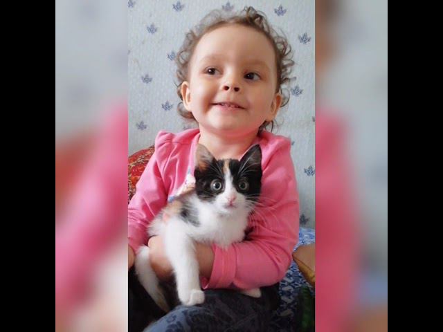 Котенок играет с ребёнком! У Леры новый друг! смотреть онлайн