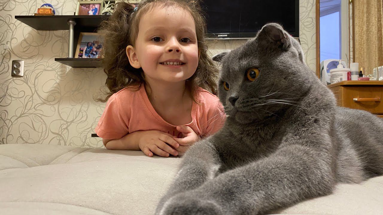 РАЗГОВАРИВАЕМ С ЯНДЕКС АЛИСОЙ смотреть онлайн