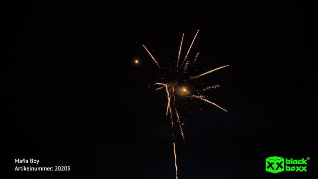 Blackboxx - Mafia Boy смотреть онлайн