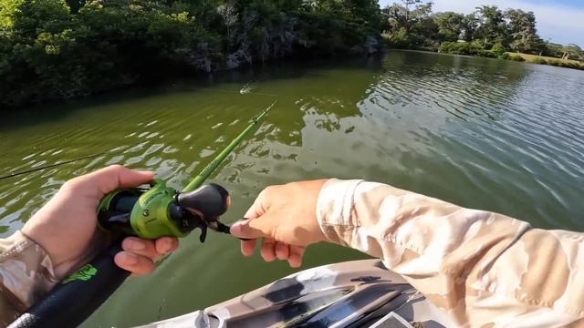 Fishing w/ a BEAVER for GIANT Bass (IT WORKED) смотреть онлайн