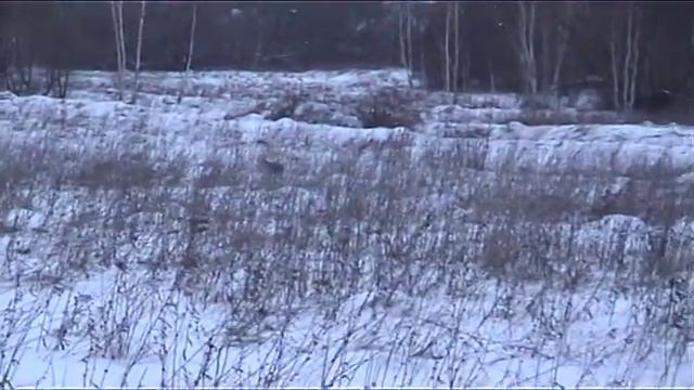 Охота 2 серия смотреть онлайн