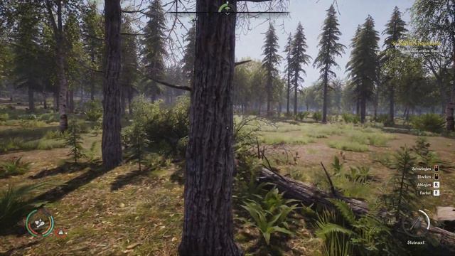 Let's Play Medieval Dynasty Winter Update #2 | Das erste Haus | tutorial deutsch gameplay смотреть онлайн