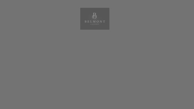 Herzlich willkommen im Belmont Classic Hotel in Bonn ❤ смотреть онлайн