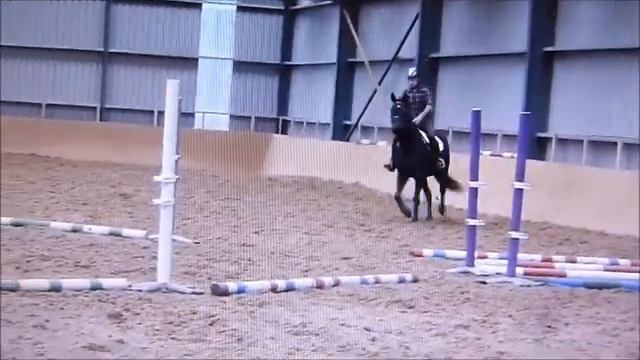 Destiny смотреть онлайн