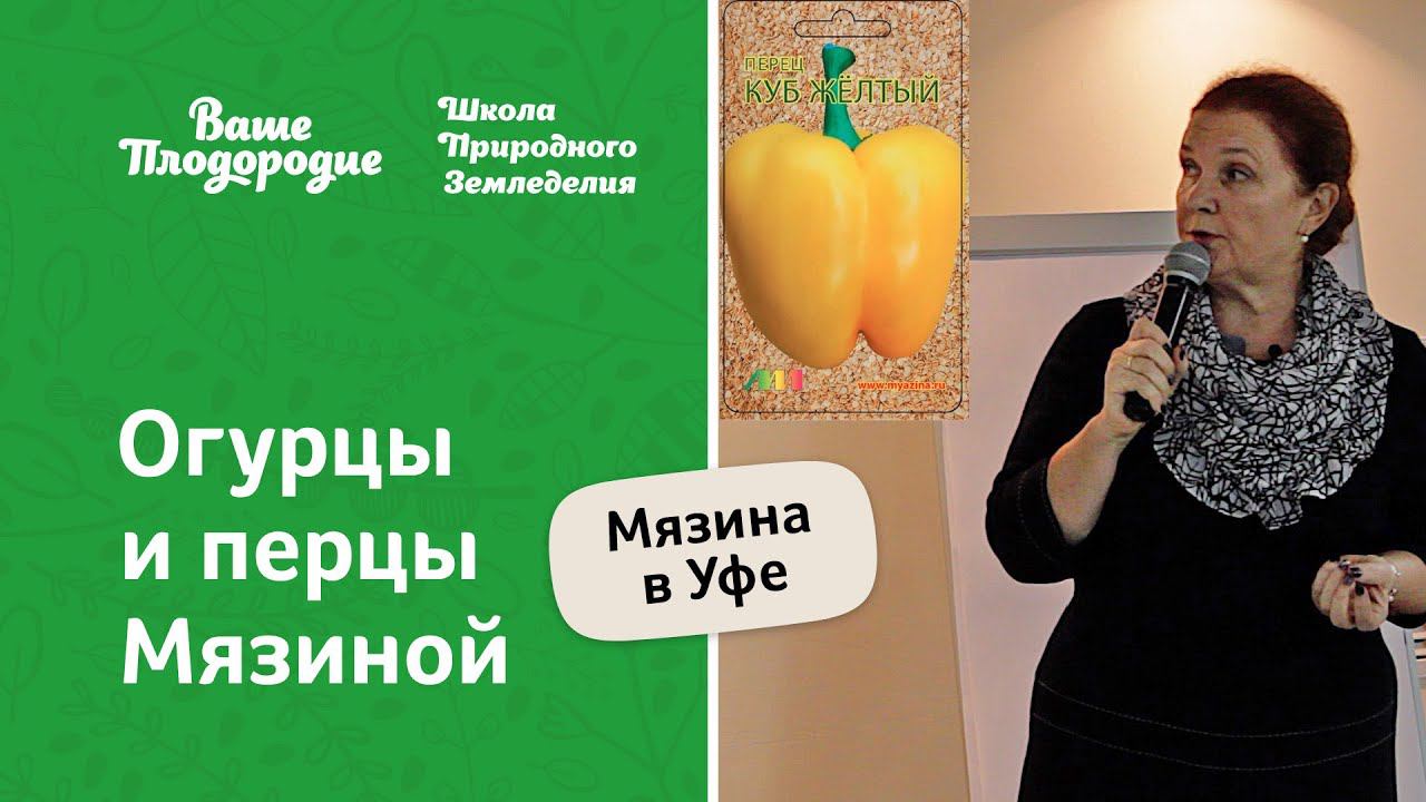 Огурцы и перцы Мязиной смотреть онлайн