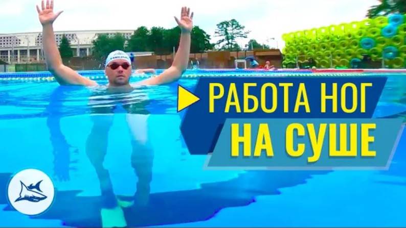 ПРАВИЛЬНАЯ РАБОТА НОГ В КРОЛЕ. КАК НАУЧИТЬСЯ РАБОТАТЬ НОГАМИ В ВОДЕ ПРИ ПЛАВАНИИ КРОЛЕМ смотреть онлайн