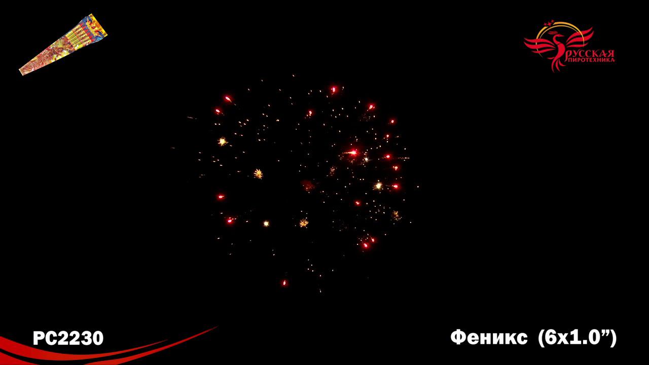 РС2230 Ракета "Феникс" (1,0") 1/24/6 смотреть онлайн