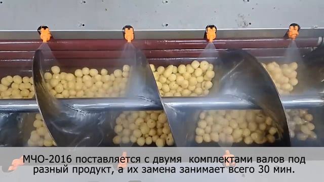Линия очистки от кожуры и фасовки полуфабрикатов овощей в общепит и сети смотреть онлайн