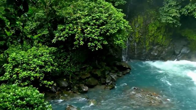 Tristesse (Chopin)   -   James Last And  Orchestra