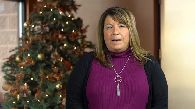 Kristin Meyer Maumee Chamber Executive Director смотреть онлайн