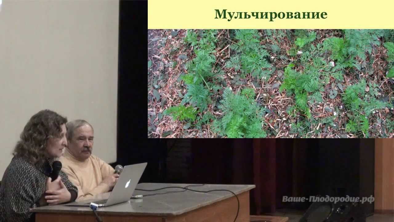 Садовые работы весной и летом смотреть онлайн